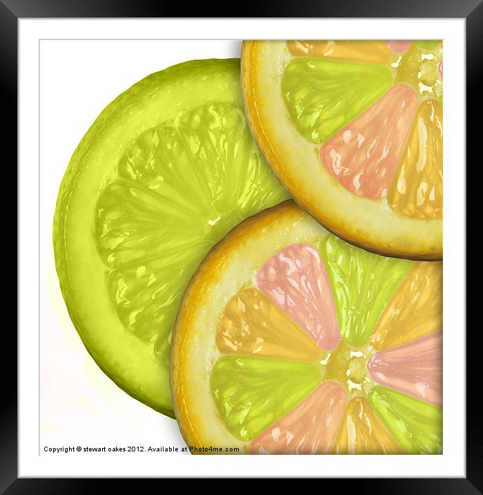 life is a lemon collection 5 Framed Mounted Print by stewart oakes