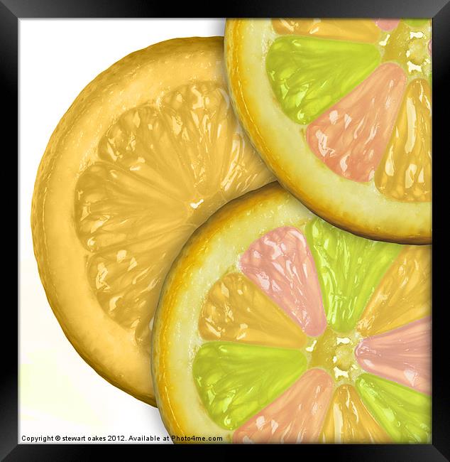 life is a lemon collection 6 Framed Print by stewart oakes