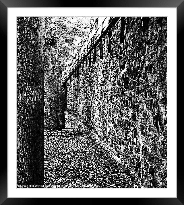 Chester collection - B&W 2 Framed Mounted Print by stewart oakes