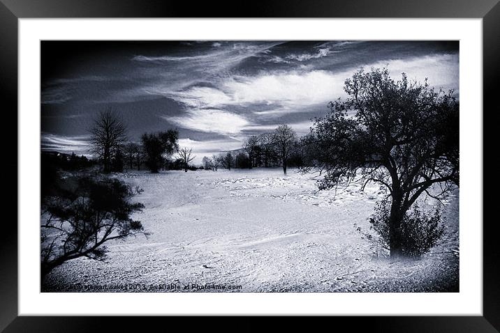 Winter wonderland Framed Mounted Print by stewart oakes