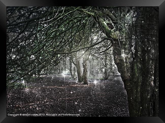 Dont go into the light Framed Print by stewart oakes