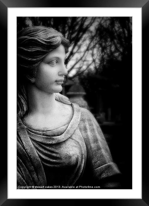 statues collection 23 Framed Mounted Print by stewart oakes