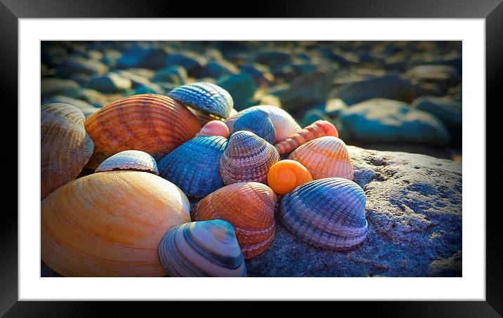 Shell island 3 Framed Mounted Print by stewart oakes