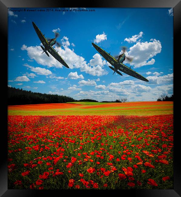 Spitfires Tribute Poppy Flypast Oil Painting Framed Print by stewart oakes