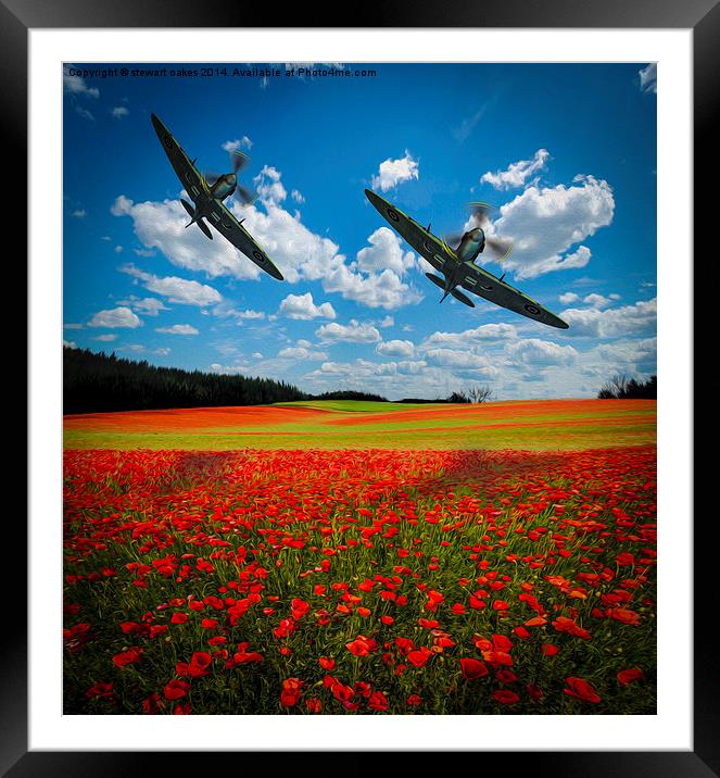 Spitfires Tribute Poppy Flypast Oil Painting Framed Mounted Print by stewart oakes