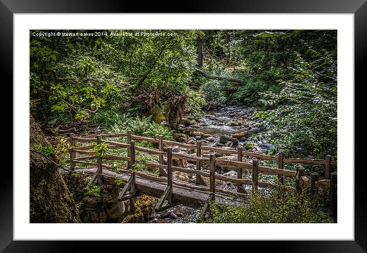 Path to Aber Falls 6 Framed Mounted Print by stewart oakes