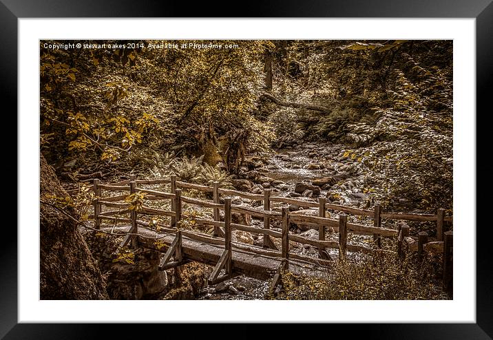 Path to Aber Falls 7 Framed Mounted Print by stewart oakes