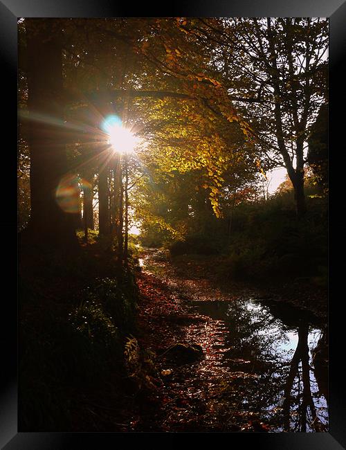 reflections of Autumn Framed Print by David Ingram