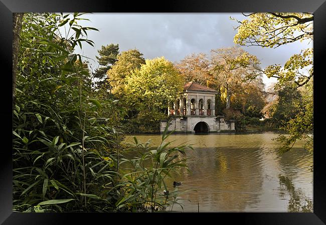 AUTUMNAL LIGHT Framed Print by Shaun Dickinson