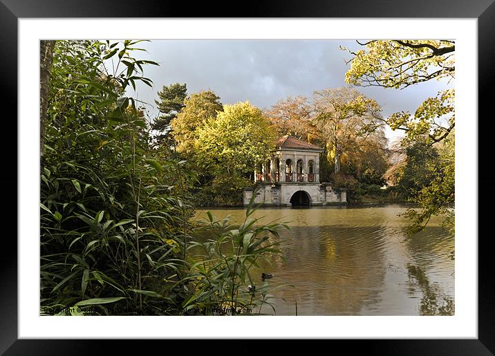 AUTUMNAL LIGHT Framed Mounted Print by Shaun Dickinson