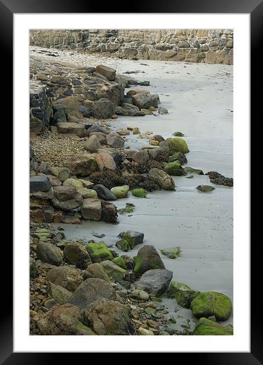 Tide Out Framed Mounted Print by Philip Needham