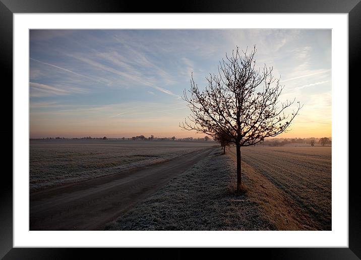 Winter daybreak Framed Mounted Print by Howie Marsh