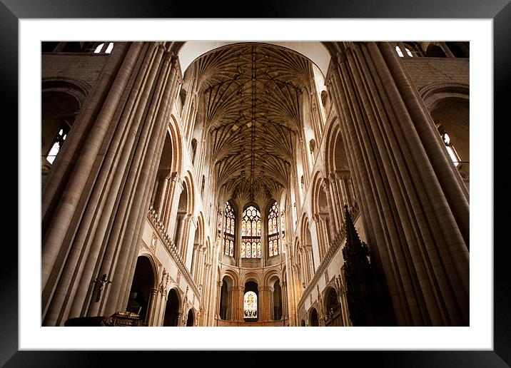 Cathedral Ceiling Framed Mounted Print by Howie Marsh