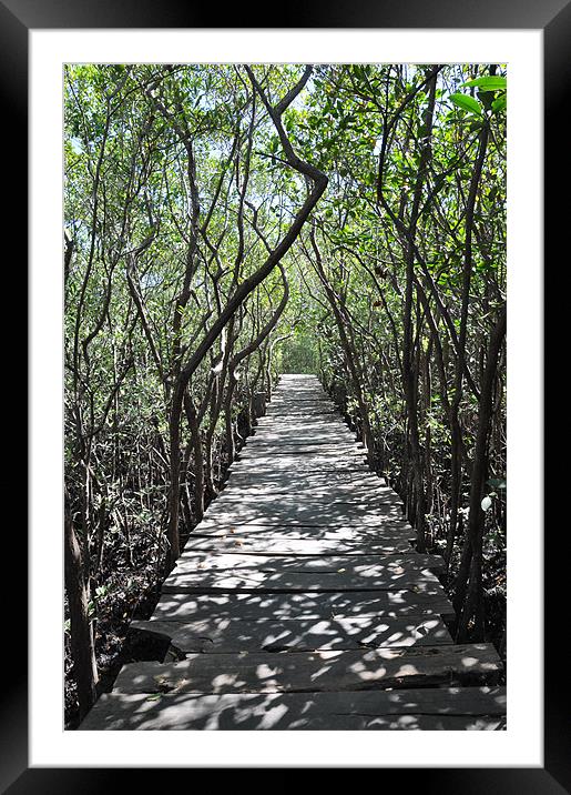 CAMINO LAS OLAS Framed Mounted Print by silvia kohn