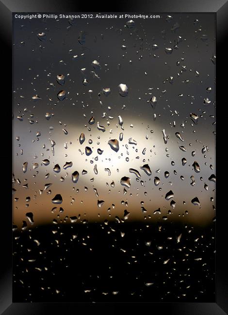 Rain drops 01 Framed Print by Phillip Shannon