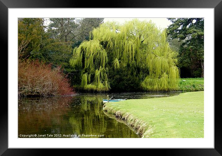 Reflections Framed Mounted Print by Janet Tate