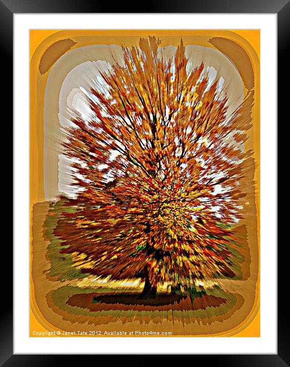 Autumn Poster Framed Mounted Print by Janet Tate