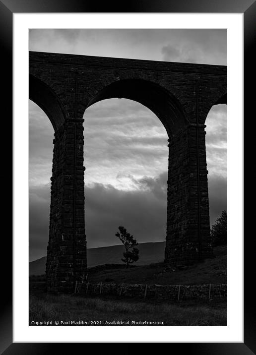 Ribblehead lone tree Framed Mounted Print by Paul Madden