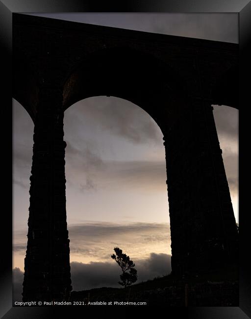 Tree through the arches Framed Print by Paul Madden