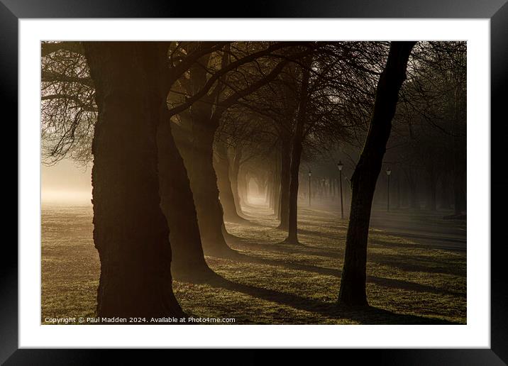 Early morning in Sefton Park Framed Mounted Print by Paul Madden