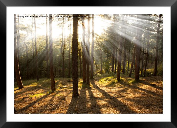 Sunbeams through the trees Framed Mounted Print by Paul Madden