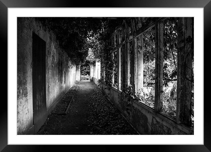 Corridor through the past Framed Mounted Print by Paul Madden