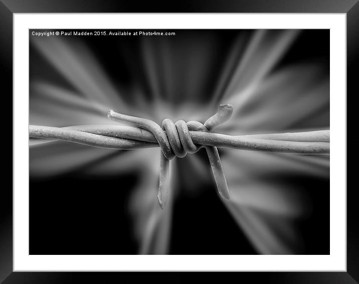 Barbed Wire Framed Mounted Print by Paul Madden