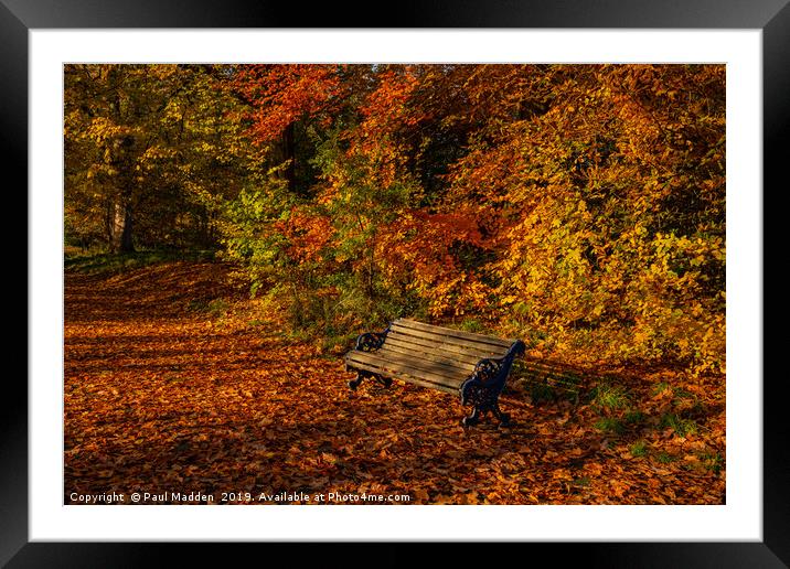 Park bench in Autumn Framed Mounted Print by Paul Madden