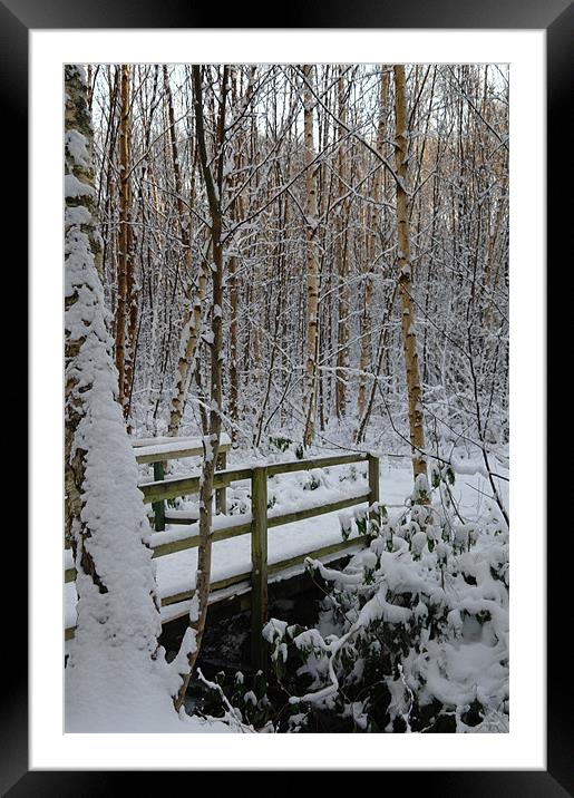 Winter Woods Framed Mounted Print by Julie Perrin