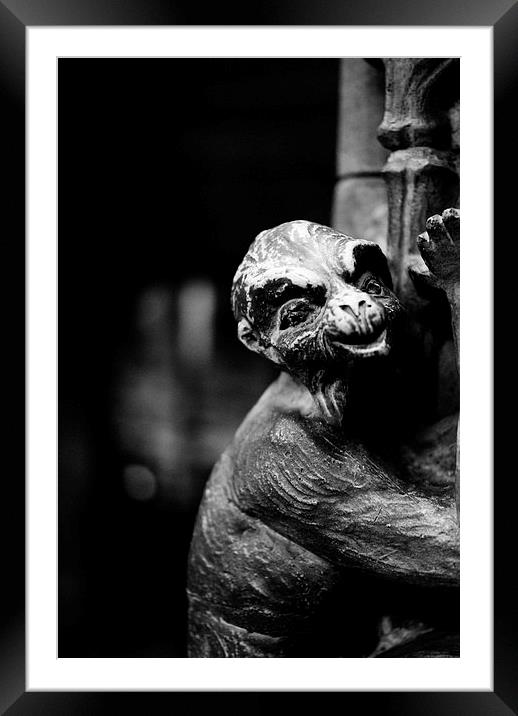 Monkey Framed Mounted Print by Daniel Gilroy