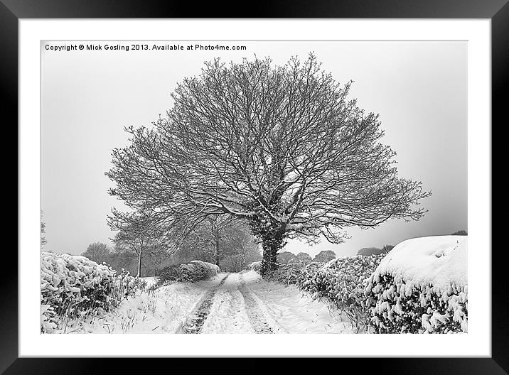 Snowy farm lane and tree Framed Mounted Print by RSRD Images 