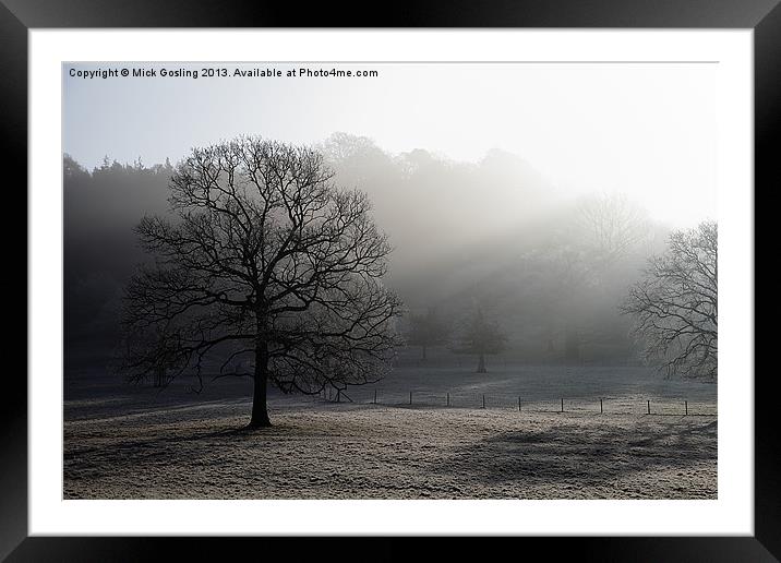 Foggy Morning Tree Framed Mounted Print by RSRD Images 