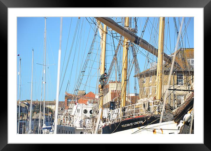 Tall ship Pelican Framed Mounted Print by Malcolm Snook