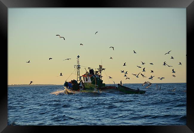 Fishing boat and gulls Framed Print by Malcolm Snook