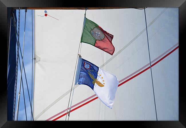 Courtesy flags against sail Framed Print by Malcolm Snook
