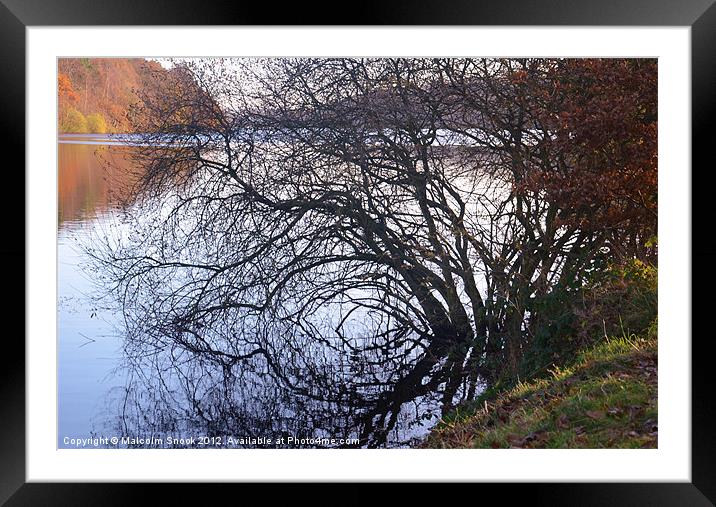 Reflections of autumn Framed Mounted Print by Malcolm Snook