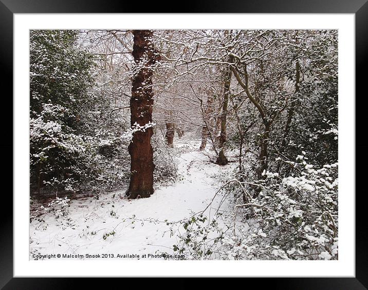 Epping Forest In The Snow Framed Mounted Print by Malcolm Snook