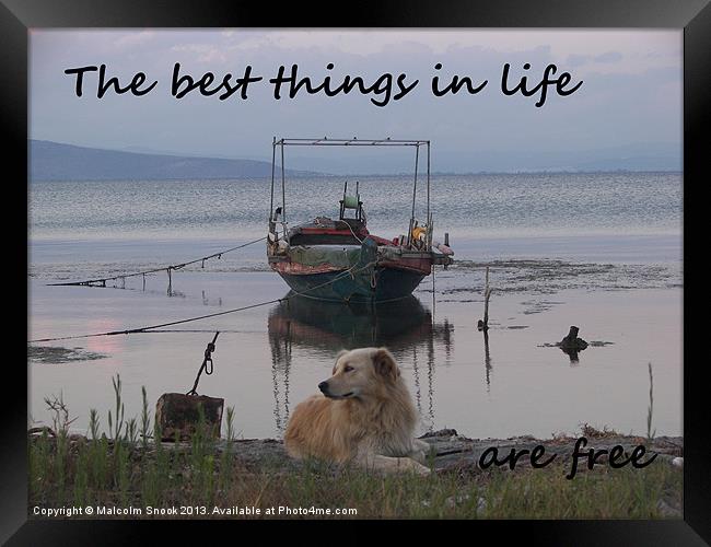 The best things in life Framed Print by Malcolm Snook