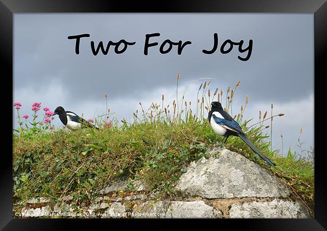 Two For Joy Framed Print by Malcolm Snook