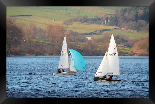 Dinghy Racing In Winter Framed Print by Malcolm Snook
