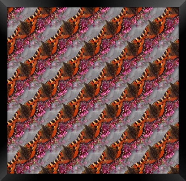  Tortoiseshell Butterfly Pattern Framed Print by Malcolm Snook