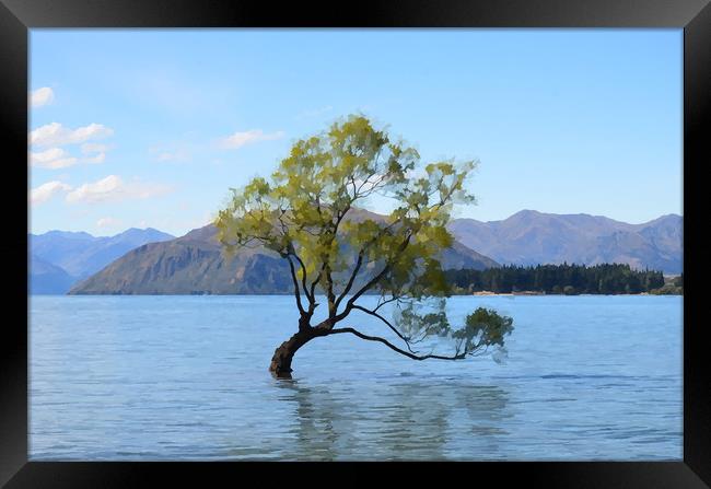 The Lonely Tree Lake Wanaka Framed Print by Malcolm Snook