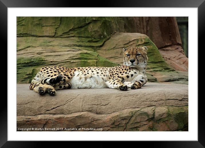 chilling out Framed Mounted Print by Martyn Bennett