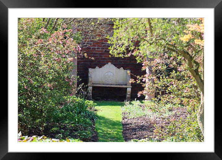  in the garden Framed Mounted Print by Martyn Bennett