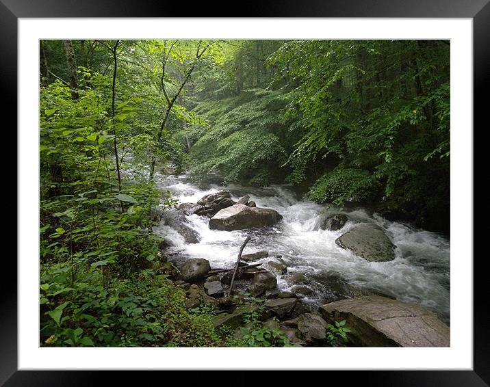 Cherokee river Framed Mounted Print by Jamie 