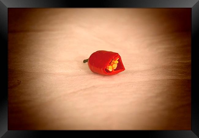 Red Chilli Pepper Framed Print by Michael Bolton