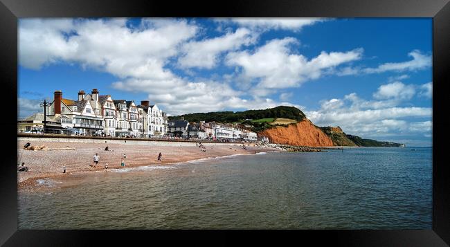 Sidmouth Panorama  Framed Print by Darren Galpin