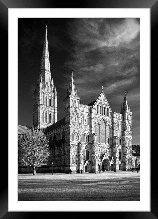 Salisbury Cathedral Framed Mounted Print by Darren Galpin