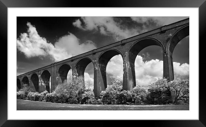 Conisbrough Viaduct Framed Mounted Print by Darren Galpin