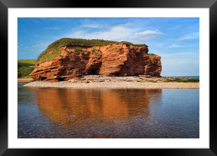 Mouth of River Otter Framed Mounted Print by Darren Galpin